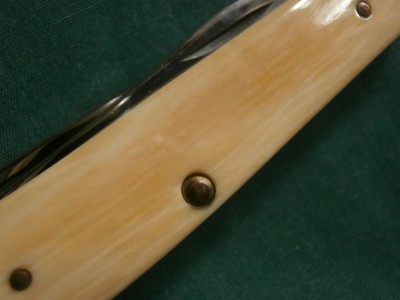 PA300013.JPG