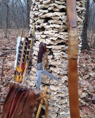 walk in the woods - 1.jpg