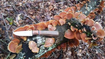 20181215_135140.jpg