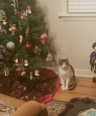 20181222_070200.jpg
