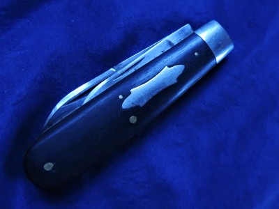 DSCN4352.JPG