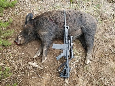 After - Vortex Strike Eagle and Magpul stock