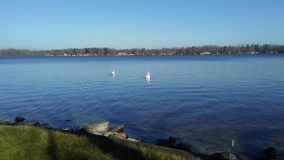 20190104_131643.jpg