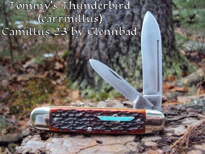 Tommy's Thunderbird Camillus 23.JPG