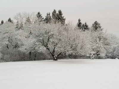 20190104_071843.jpg