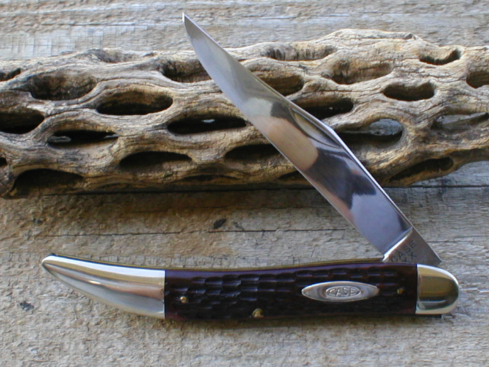case xx large toothpick(tejas)