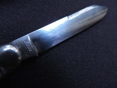 DSCN5561.JPG