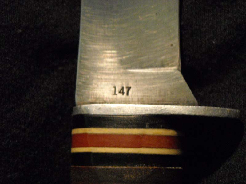 147.jpg