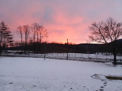20190127_072211.jpg
