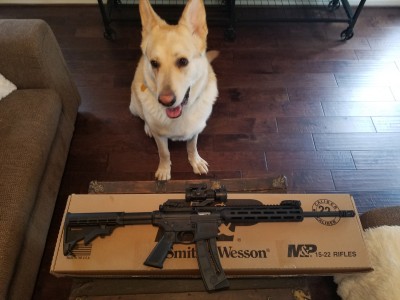 Smith  Wesson 15-22  Jan 31 2019.jpg