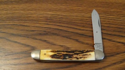 Case Stag 25 Cent.jpg