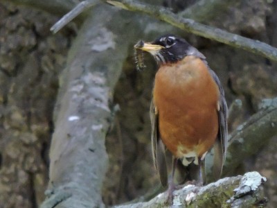 DSCN7531.JPG