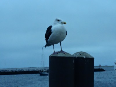 DSCN3402.JPG