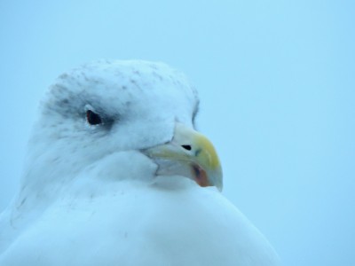 DSCN3411.JPG