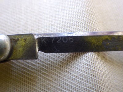 RIMG1616.JPG