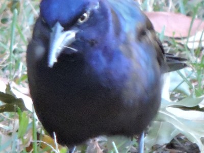 DSCN3110.JPG