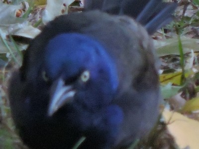 DSCN3112.JPG