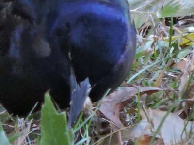DSCN3115.JPG