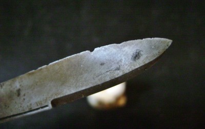Waltham Whittler - Blade bites 1.JPG
