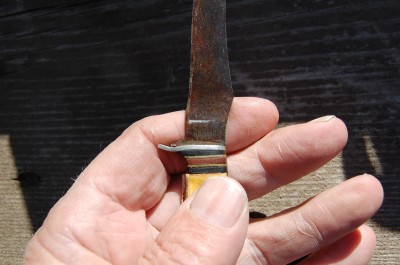 DSC_2214.JPG
