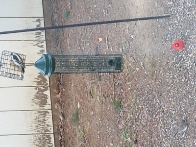 20190307_065700.jpg