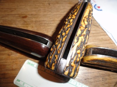 stag IXL 001.JPG