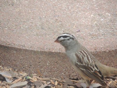 DSCN3039.JPG