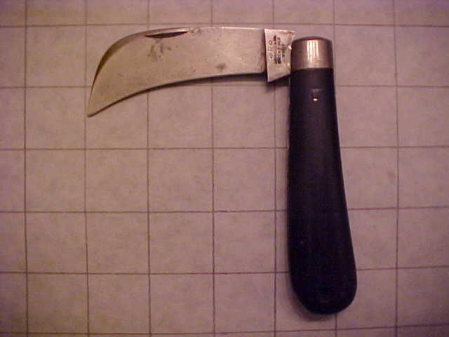 Russell Hawkbill1.JPG