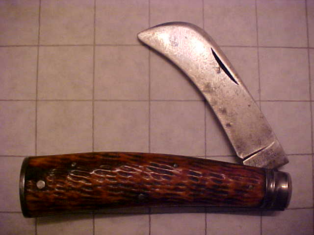 UlsterHawkbill.JPG