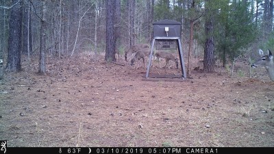IMG_0080.JPG