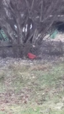 20190308_093925.jpg