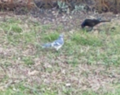 20190312_094220.jpg