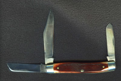 Sanders bone 8 OT003.jpg