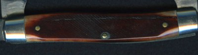 Sanders bone 8 OT004.jpg