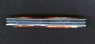 Sanders bone 8 OT005.jpg
