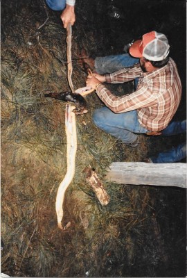Scan0002.jpg