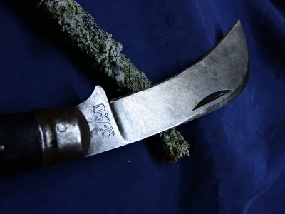 DSCN6571.JPG