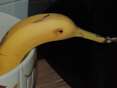 DSCN5491.JPG