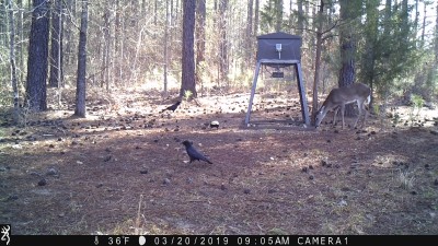 IMG_0333.JPG