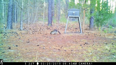 IMG_0329 (3).JPG