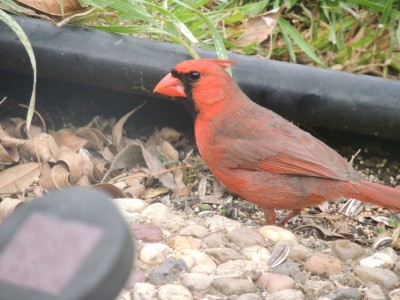 DSCN5517.JPG