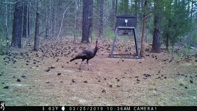 IMG_0032 (2).JPG