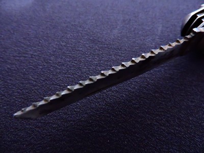 DSCN6881.JPG