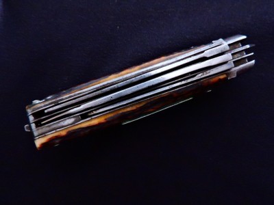 DSCN6940.JPG