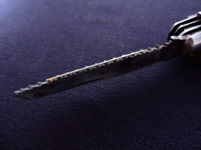 DSCN6879.JPG