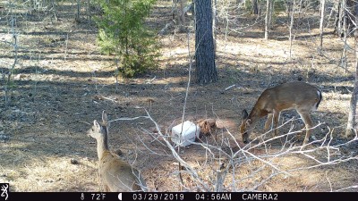 IMG_0153.JPG