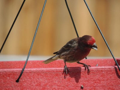 DSCN5562.JPG