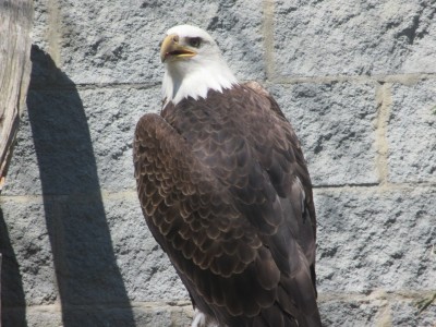 IMG_4930.JPG