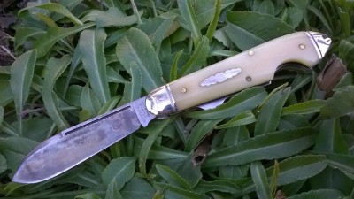 WP_20190303_029.jpg
