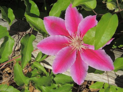 DSCN5589.JPG